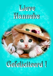 Hanneke